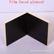 Brown/Black Film Faced Plywood